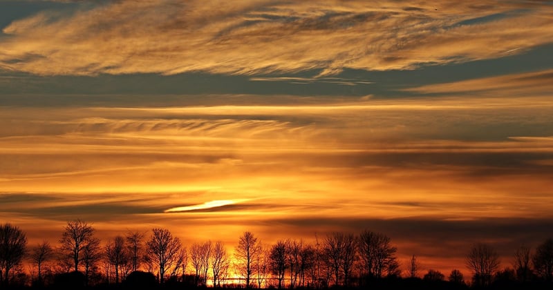 30 plats vegetariens rapides pour le soir, prets en moins de 20 minutes