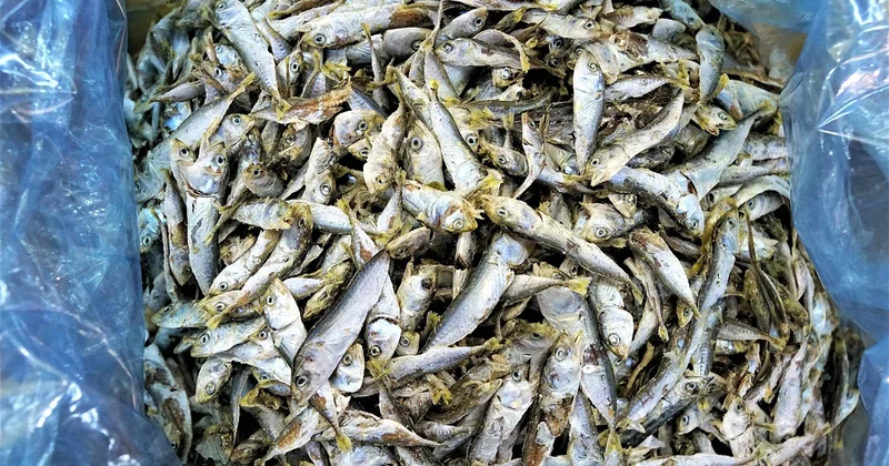 Le batch cooking qui marche vraiment (et celui qui m'a fait perdre mon dimanche)