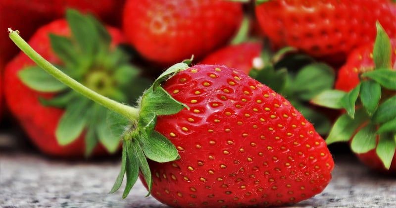Desserts gourmands aux fruits de saison : 15 idées qui font fondre
